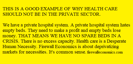 Private hospitals have no excess capacity for a crisis. We need a public heath service